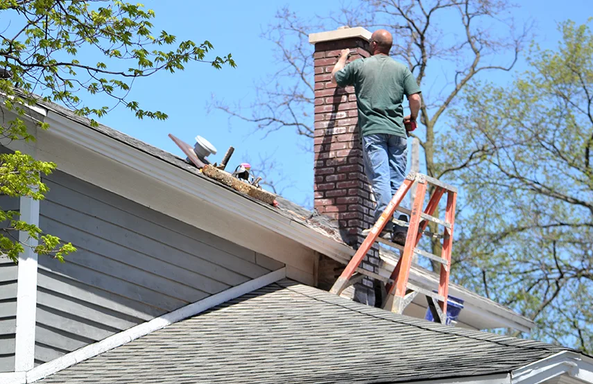 Chimney & Fireplace Inspections Services in San Ramon, CA